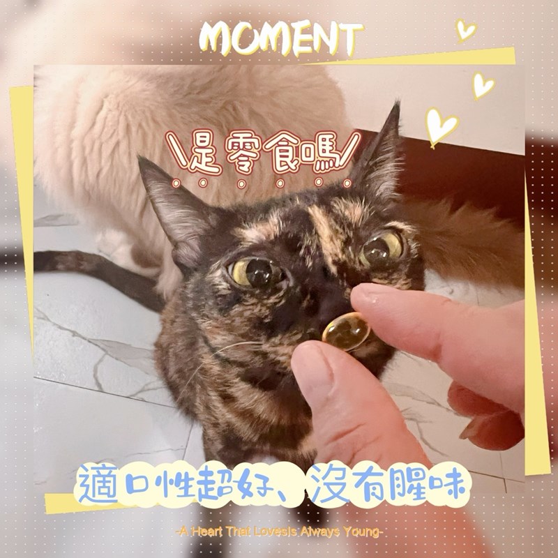 試用